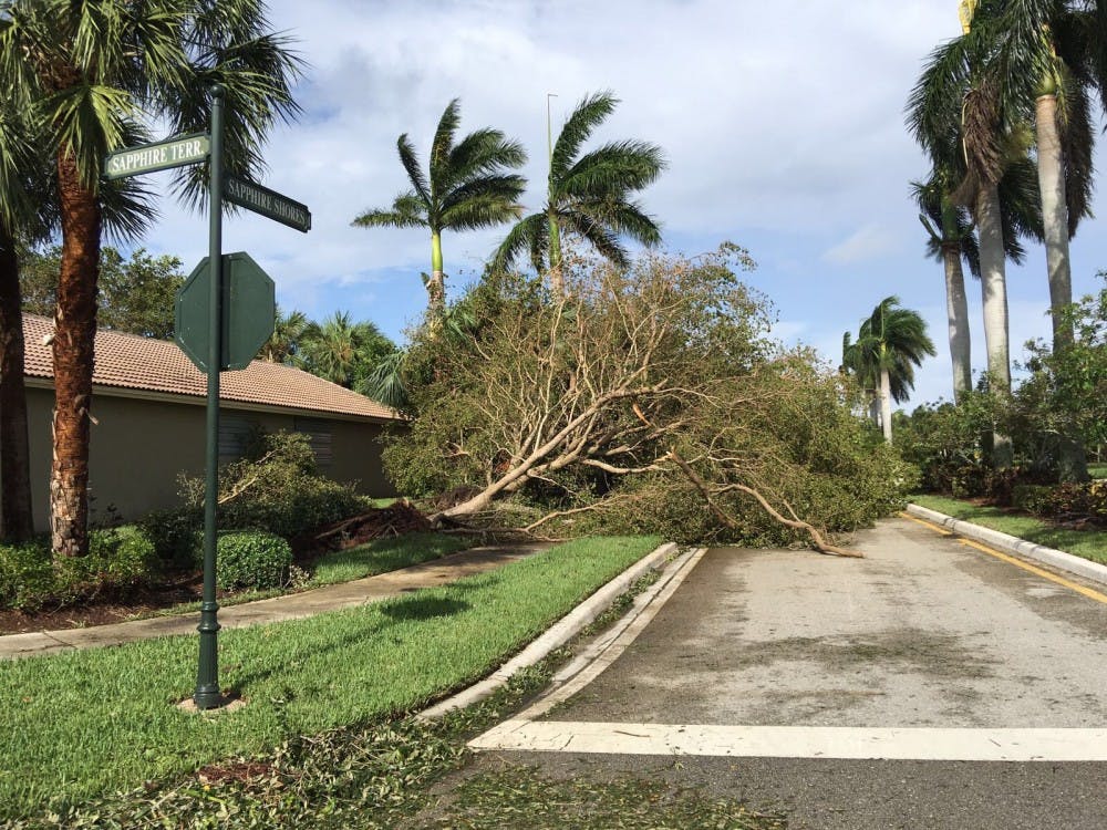 <p>A tree blocks the street of freshman Carlos Perez's neighborhood in Fort Lauderdale, Florida after Hurricane Irma. The hurricane reached Fort Lauderdale on Sept. 10.</p>