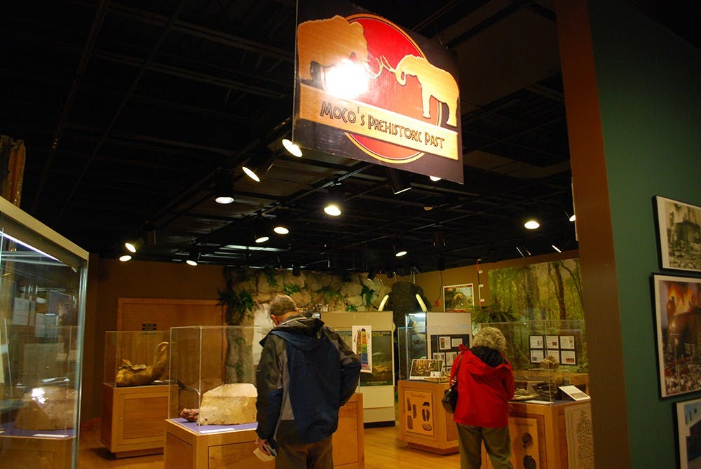 The Monroe County History Center opens its fossil exhibit for the public to preview Tuesday, giving people the opportunity to learn about Indiana's prehistoric past.