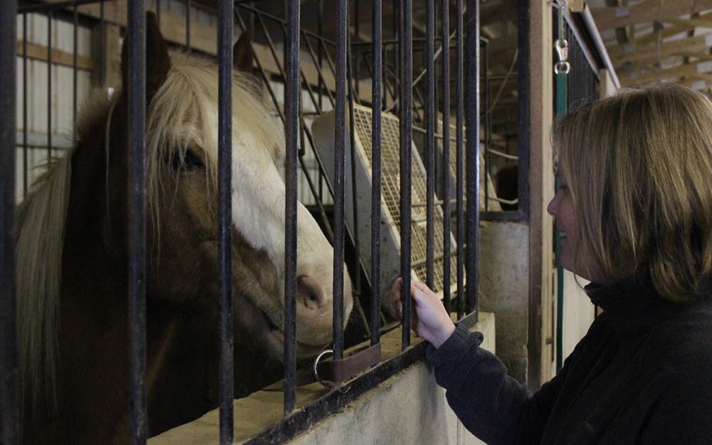 Marianne Van Winkle, PALS executive director, meets the program's newest horse, Bubbles. Van Winkle became the executive director of the equine therapy program in September and is hoping to expand the program's reach. 