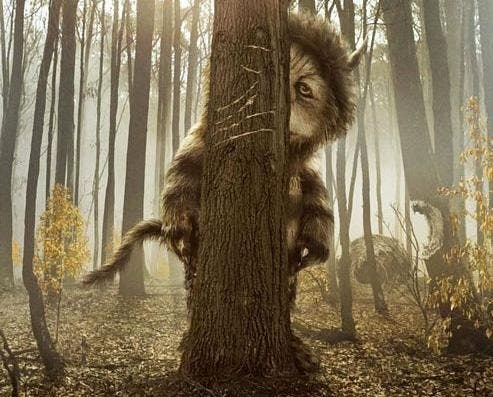 Where the Wild Things Are