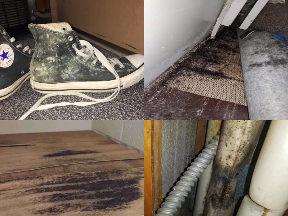 Photos from a court filing show mold in dorm rooms. Residents from sevenresidents halls at the time are suing the IU trustees after dealing with mold last semester in residence halls across campus. The lawsuit against the university has been granted class action status.