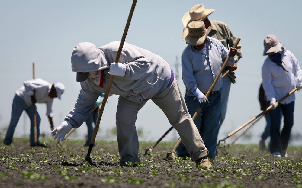 <p>Farm workers use hoes to thin a cantaloupe field in the heat July 26, 2023, in western Fresno County, California. The World Meteorological Organization <a href="https://public.wmo.int/en/media/press-release/july-2023-set-be-hottest-month-record" target="_blank">announced</a> last week that July 2023 will likely be the Earth’s hottest month on record, breaking an average surface air temperature record set in August 2016. <br/><br/></p>