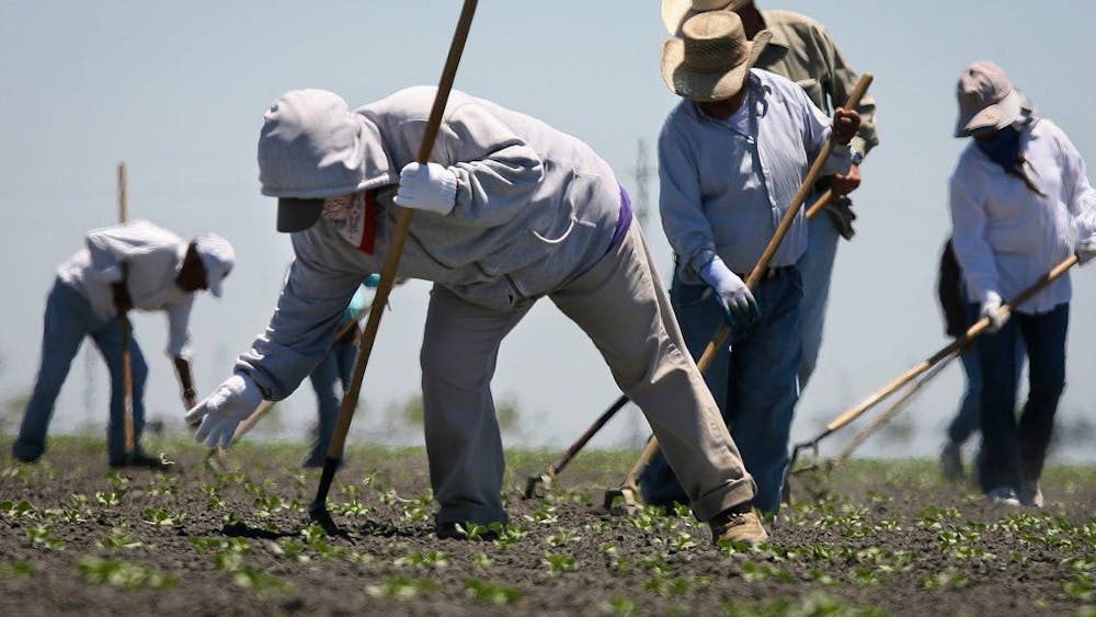 Farm workers use hoes to thin a cantaloupe field in the heat July 26, 2023, in western Fresno County, California. The World Meteorological Organization announced last week that July 2023 will likely be the Earth’s hottest month on record, breaking an average surface air temperature record set in August 2016. 