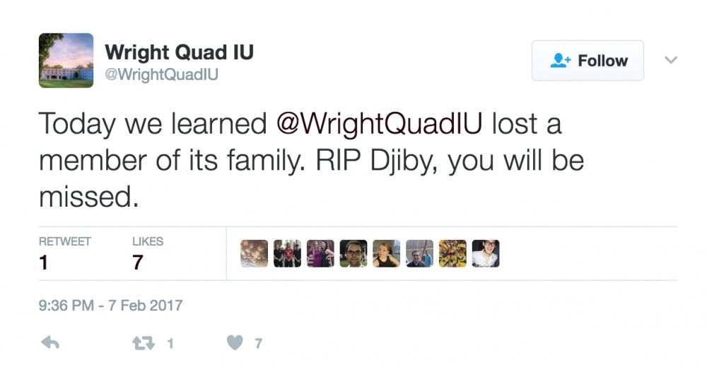 Djiby Sissoko often worked in Wright Quad.&nbsp;