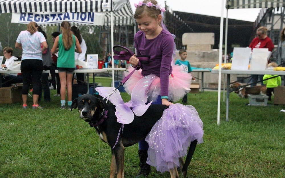 Allie Shute puts a costume on her dog, Lucy and warms her up for the run at the Barktoberfest Sunday morning at Woolery Mill. 