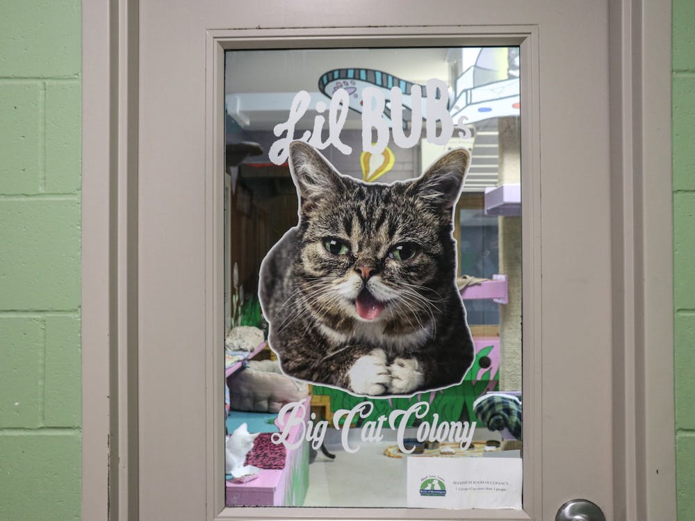 The door to the Lil Bub Big Cat Colony is seen Oct. 8, 2021, in the Bloomington Animal Shelter. Several cats take their afternoon naps on beds or explore their enclosures.