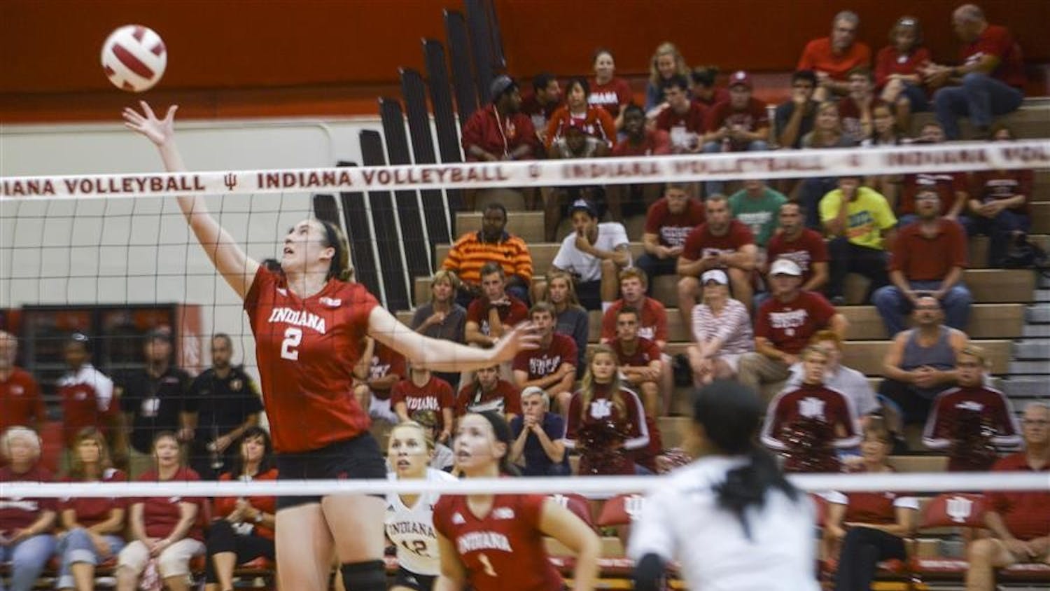 CAROUSELIU Volleyball