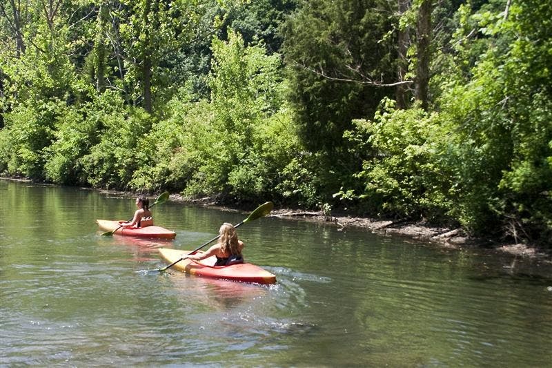 IU senior Kayla Rhodes and junior Amy DiMatteo paddle their kayaks away from shore at Griffey Lake on June 9th. The kayaks and canoes are available for rental from the Girffey Lake Boathouse for $6 per hour.