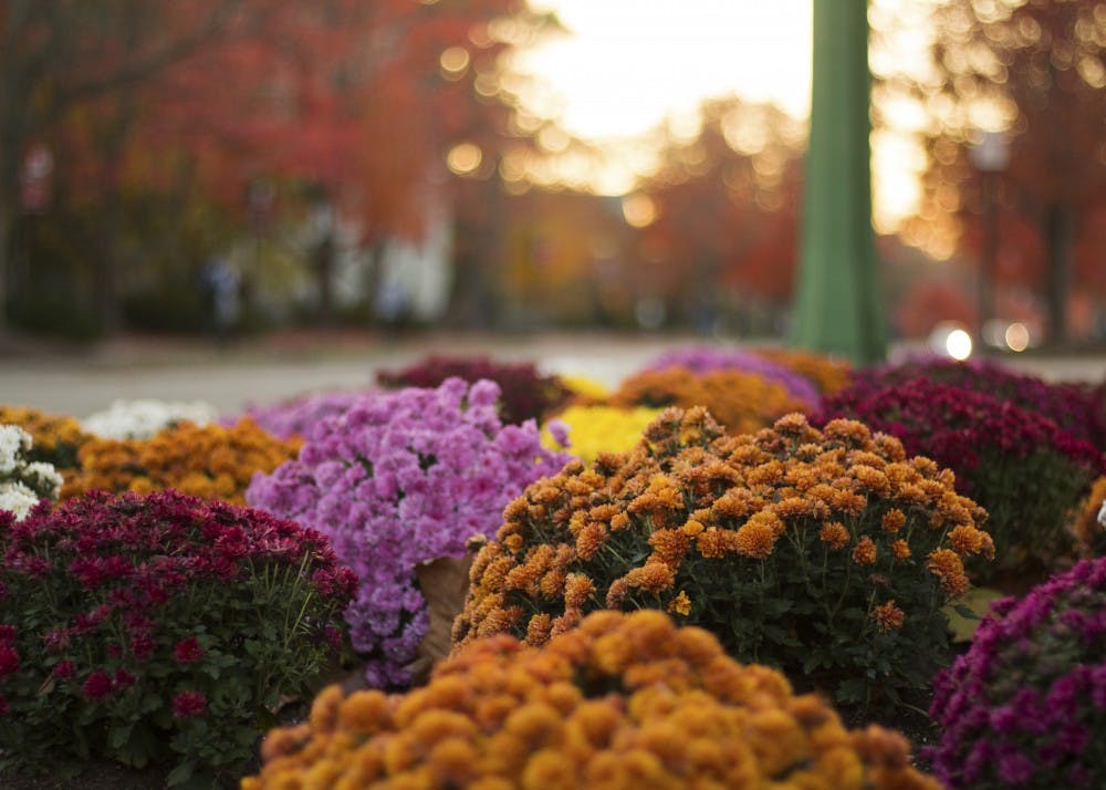 Flower beds decorate the border of Showalter Fountain. Stephen Glaholt, a professor and researcher in the School of Public and Environmental Affairs, and Mark Menefee, assistant director for utility services at the IU Central Heating Plant, are co-leading a project to turn greenhouse gases released from the central heating plant into fertilizer using algae.&nbsp;