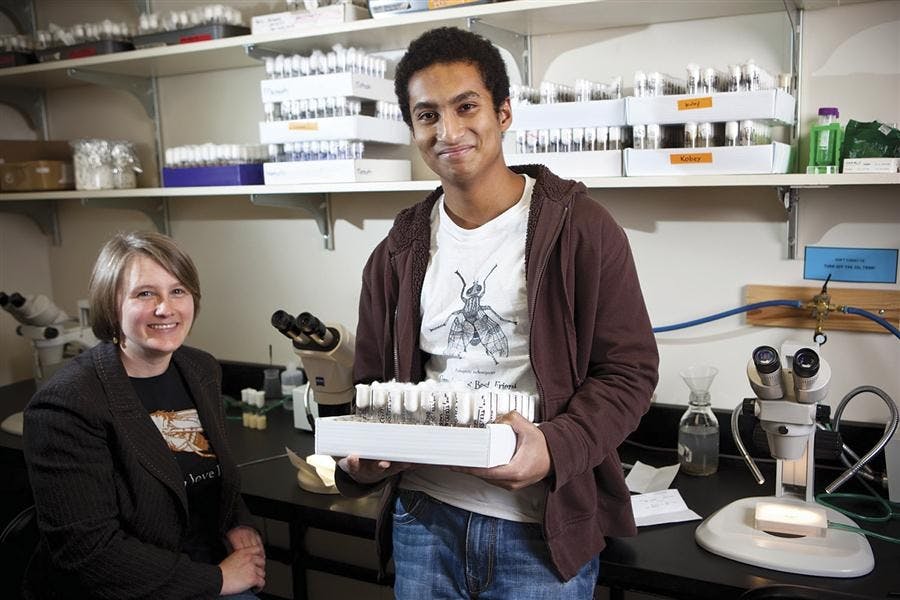 caSiddiqMontooth Carousel