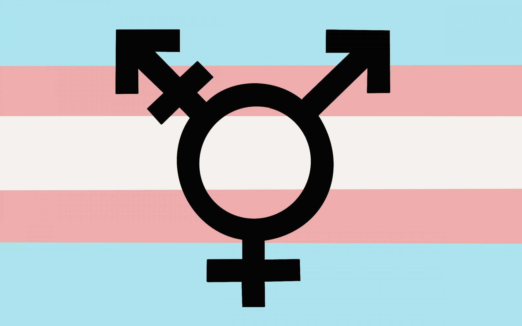 optranspeople030622-illo