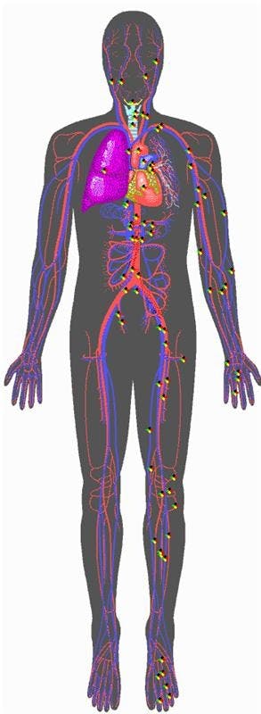 1. Brain 
Caffeine blocks sleep-promoting chemicals from being received by the brain.  

2. Heart 
Increased heart rate and irregular heartbeat can occur from drinking large amounts of caffeine.  

3. Arteries Caffeine stimulates the heart to pump harder, increasing blood pressure.  

4. Stomach Digestive system disturbances can occur from drinking caffeine.  

5. Mind 

Anxiety can result from the mental and physiological disturbances caused by heavy caffeine use.

Sleep disturbances are common in heavy caffeine drinkers, especially if caffeine is used right before bedtime.