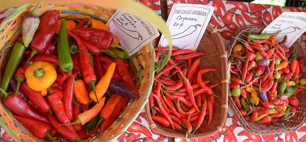 Variety of chilly peppers are on display at the booth of The Chile Women during the Big Red Eats Green event on Thursday Afternoon.
