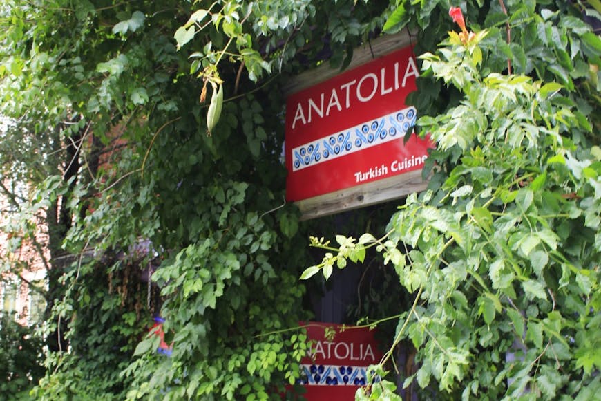 anatolias.jpg
