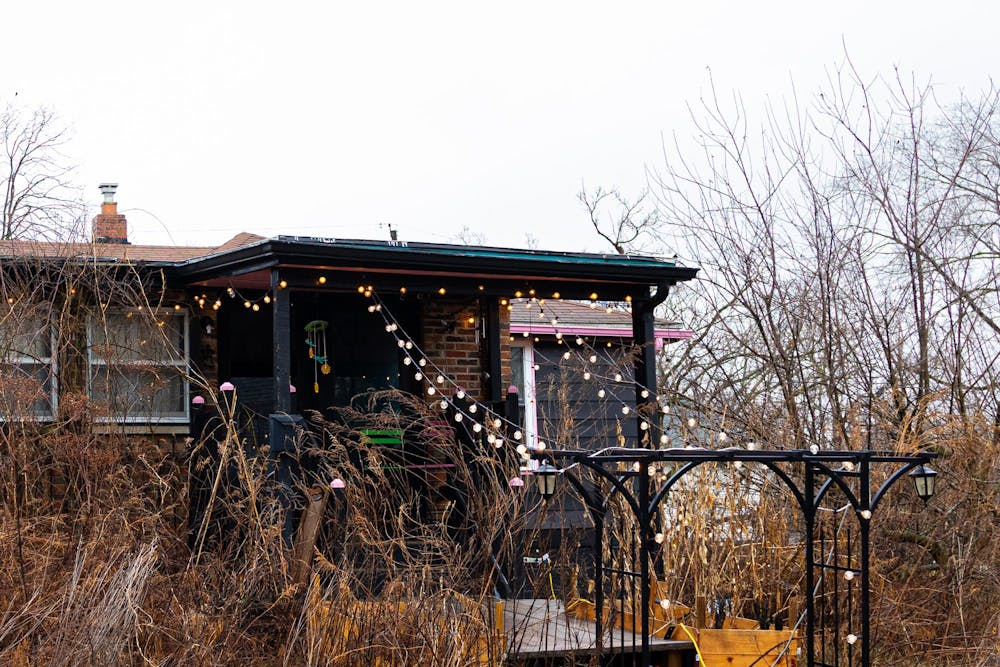 entpinkpoodle030326 (1 of 1).jpg