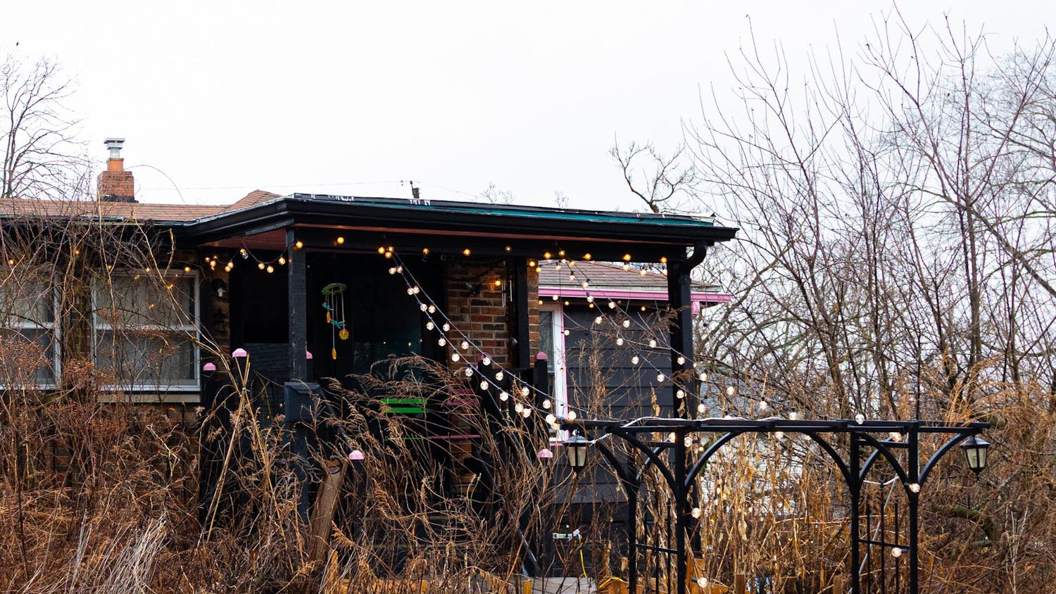 entpinkpoodle030326 (1 of 1).jpg