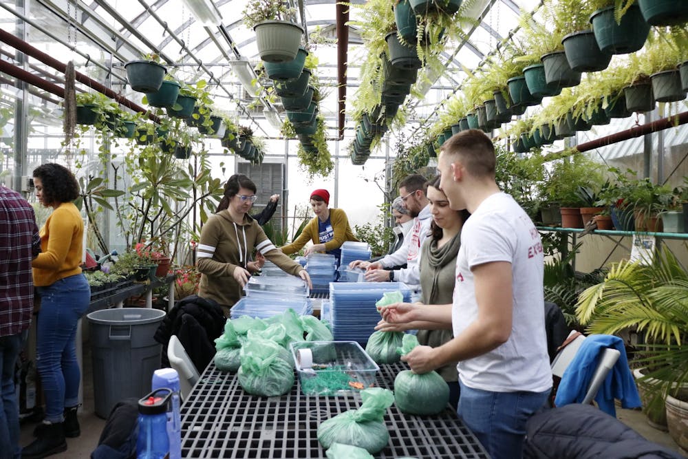 <p>Volunteers tie bags of soil and assemble growing trays Jan. 20 at the Hilltop Garden and Nature Center at IU for a Martin Luther King Jr. Day service activity. The volunteers made plant-growing kits for local schools.</p>