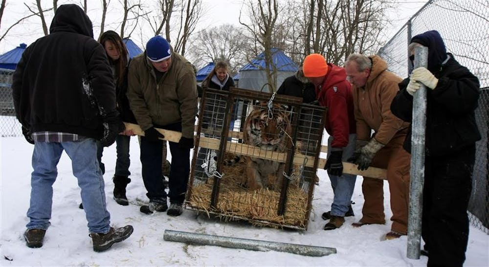 Exotic Feline Rescue Center