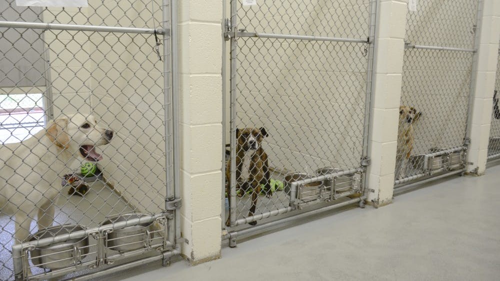 The Bloomington Animal Shelter will be shutting down for four days this week, starting Feb. 19, to construct a new addition to the building.&nbsp;