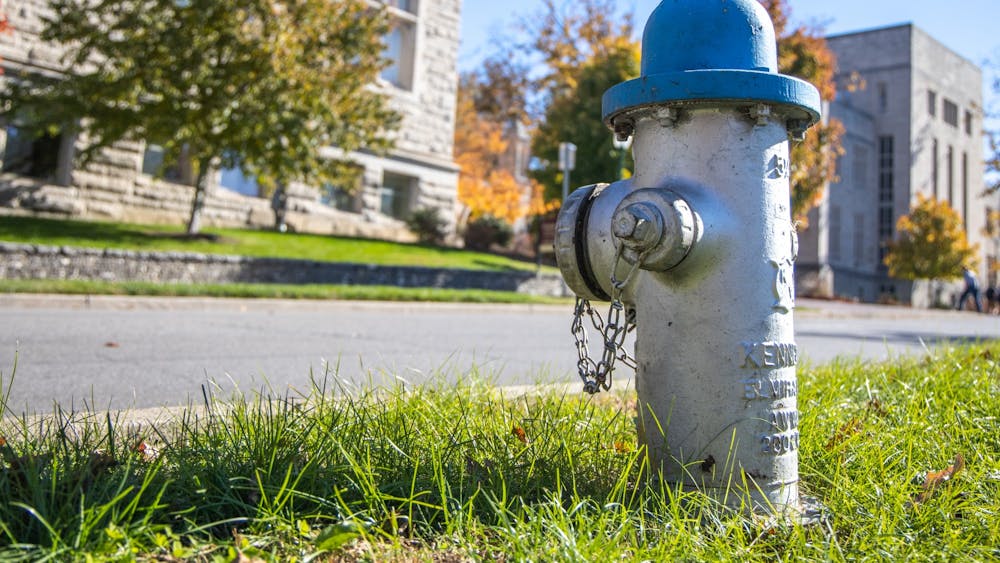 A fire hydrant is seen Nov. 8, 2021, next to Indiana Avenue. City of Bloomington Utilities issued a boil water advisory for 18 addresses in West Bloomington pending repair of a fire hydrant near South Owens Drive and South Wynnedale Drive, according to a press release from CBU.