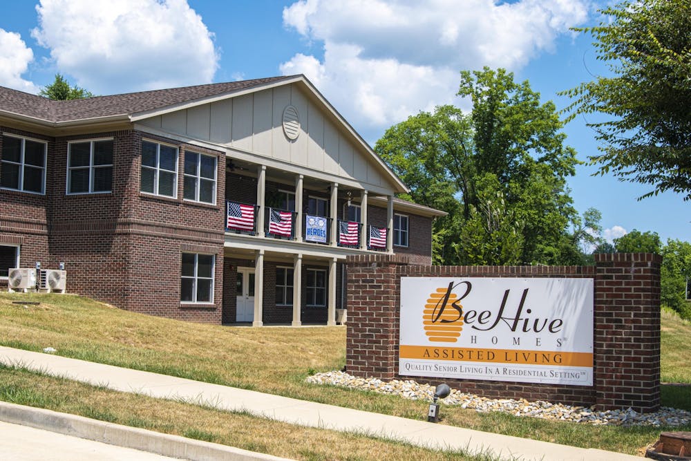 bee-hive-assisted-living
