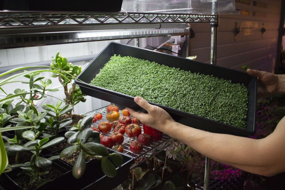 cagoldleaf020719 (1).jpg