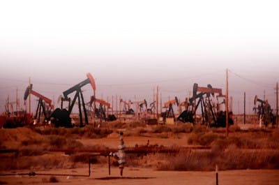 Oil Pumps