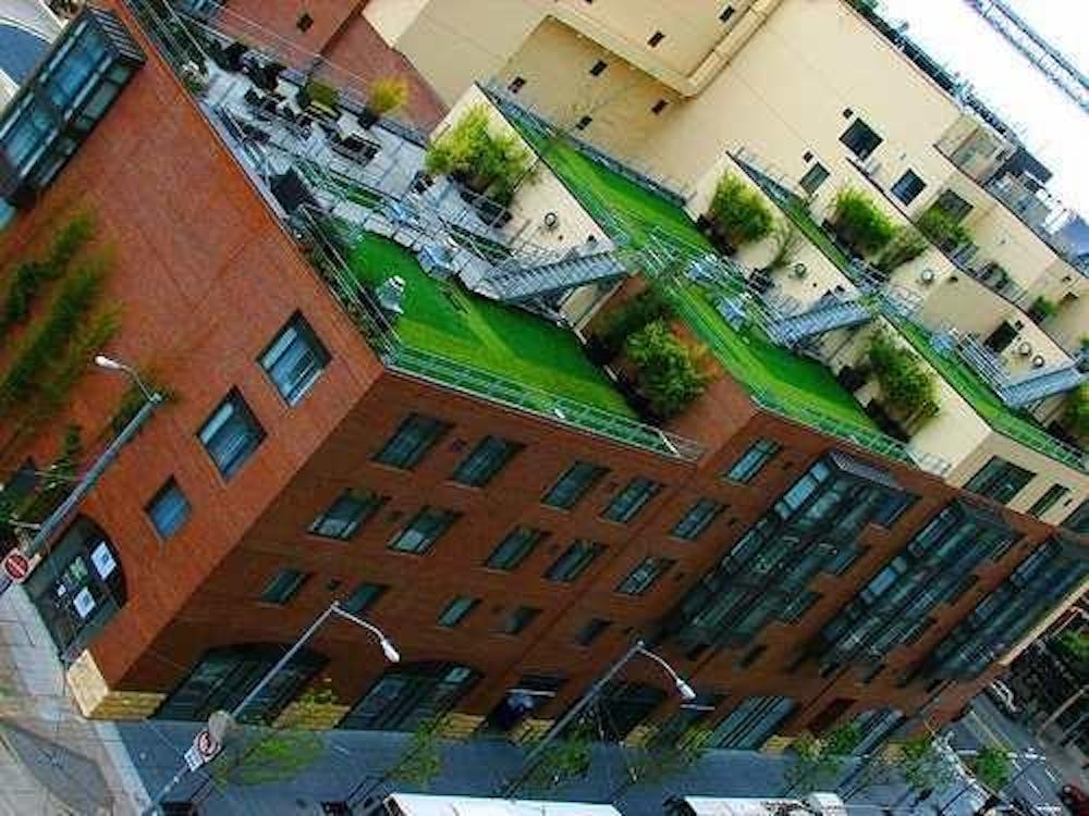 rooftopgarden