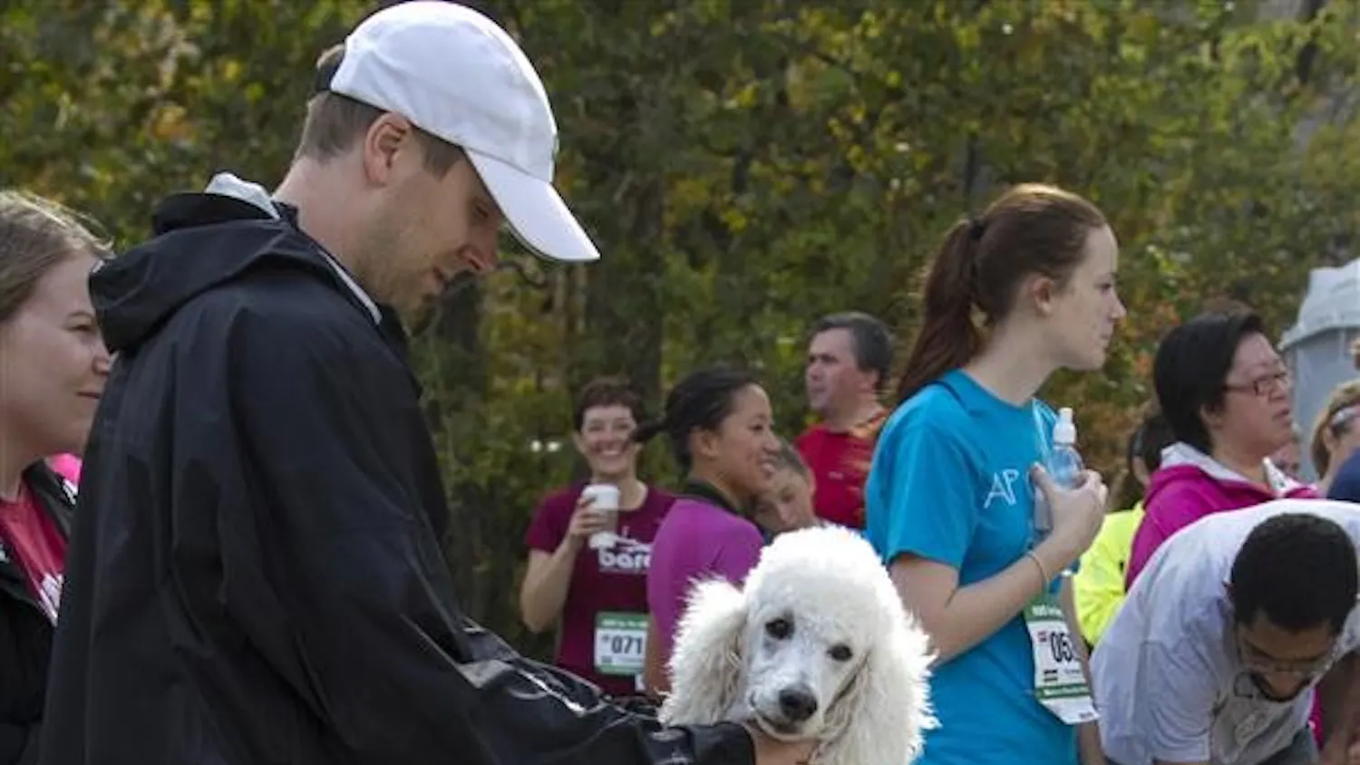 Run for the Animals