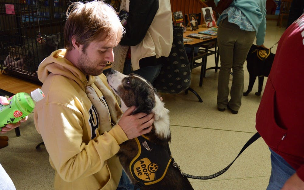 A guest at Adorable Adoptables at the Monroe County Public Library shares a loving moment with a dog named Gus on Ocotber 17, 2015. During the month of October, the City of Bloomington Animal Shelter will reduce the adoption fee for dogs for their Adopt-A-Dog event. 