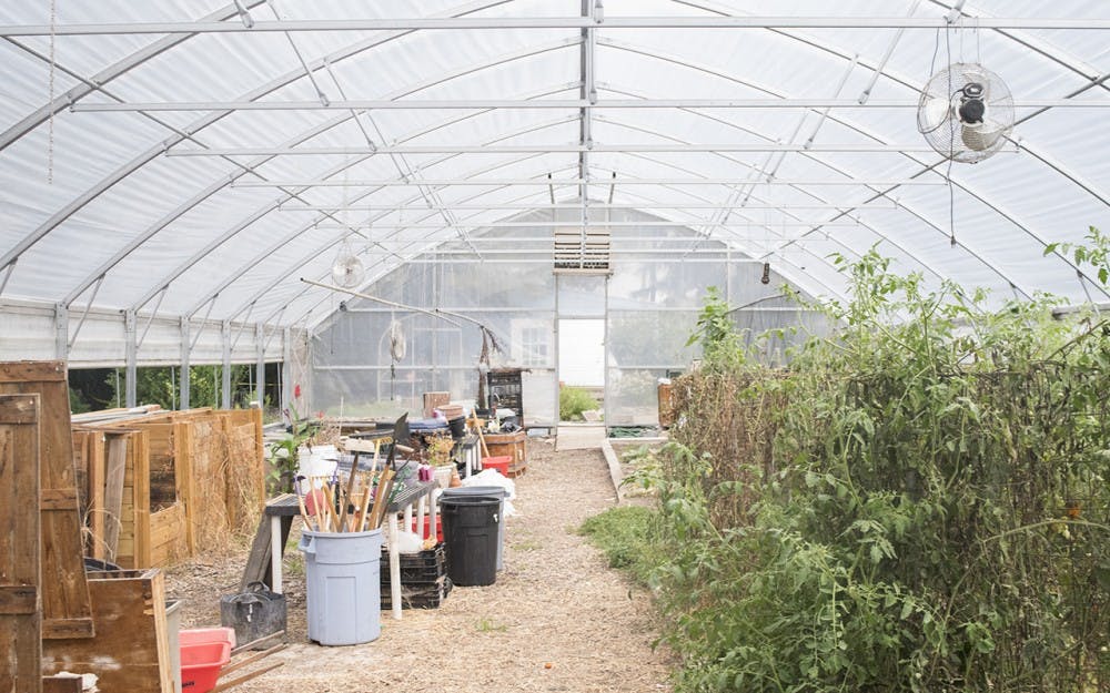 A greenhouse shelters equipment and plants at the Hilltop Garden. The garden allows students and the public to learn gardening practices and engage with nature.