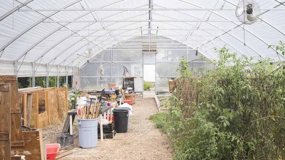 A greenhouse shelters equipment and plants at the Hilltop Garden. The garden allows students and the public to learn gardening practices and engage with nature.