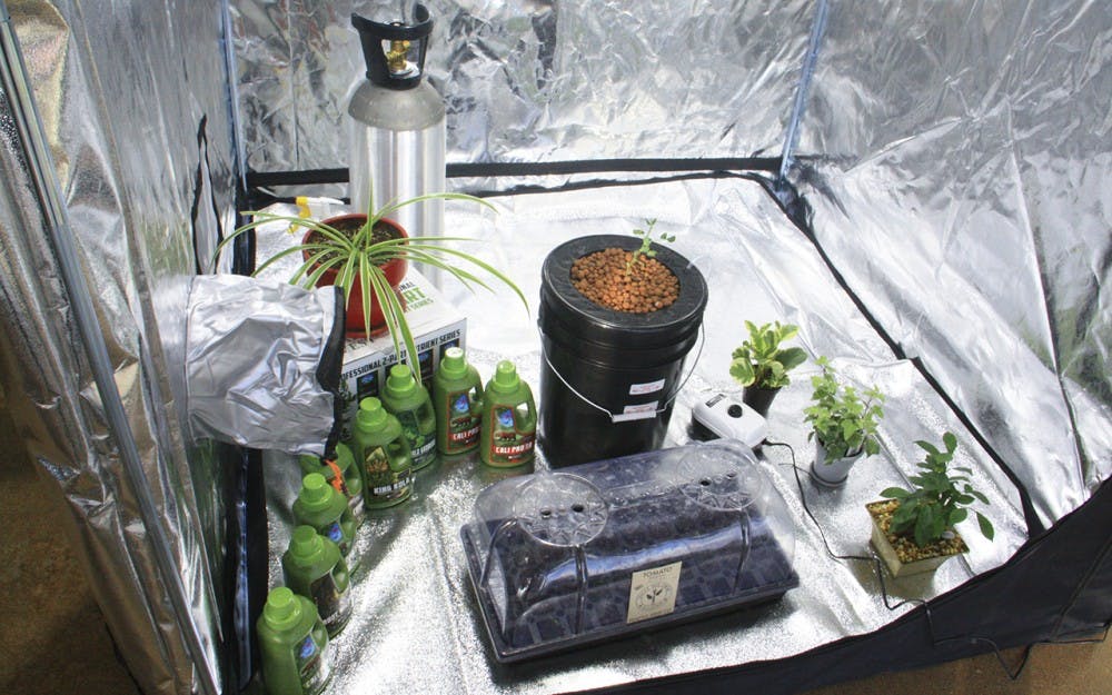 webcibotanicals3
