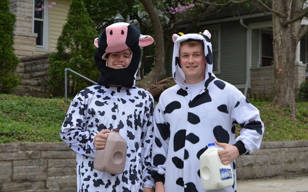 Juniors Jake McCarty and Michael McHugh are  two of the students who dress up and deliver milk to students. They bought the cow costume McCarty, left, is wearing at Campus Costume on 10th Street after their first order.&nbsp;