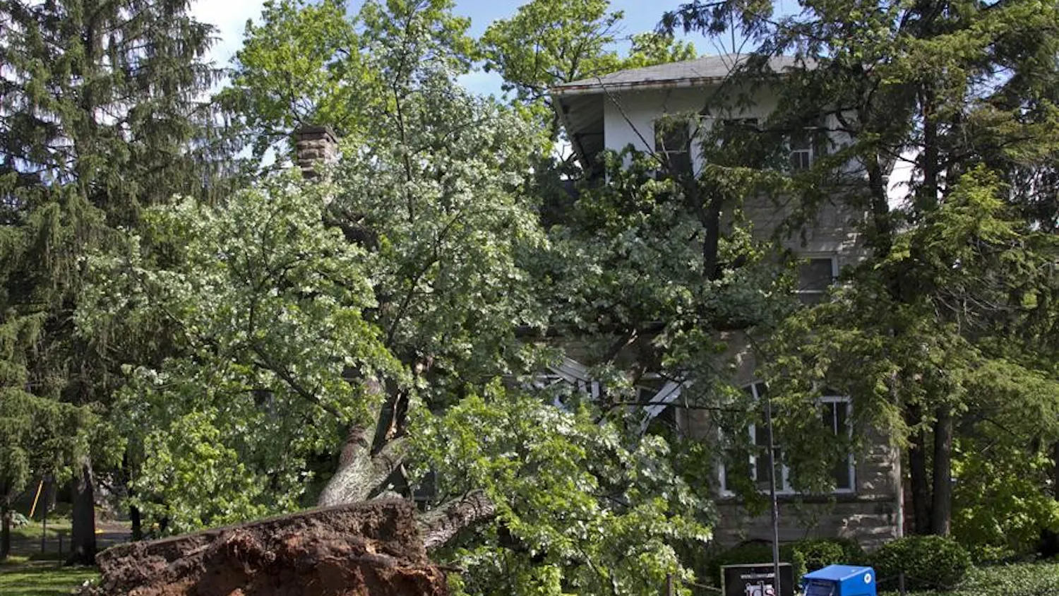 Campus Damage