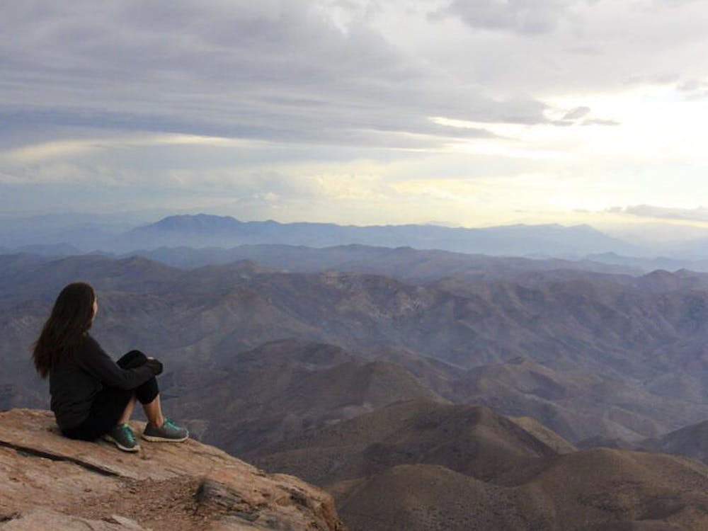 Columnist Tori Ziege looks out on the mountains of Chile during her visit this past week.