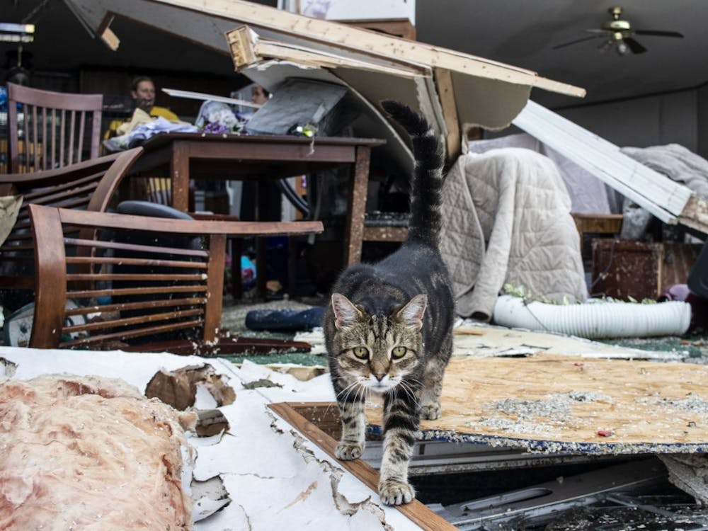 Cat Hoosier walks across debris June 17, 2019 in the Paynter family residence. President Joe Biden approved a disaster declaration for Indiana on April 15, 2023, that makes federal funding available to individuals affected by the deadly severe storms and tornadoes that occurred from March 31 to April 1. 