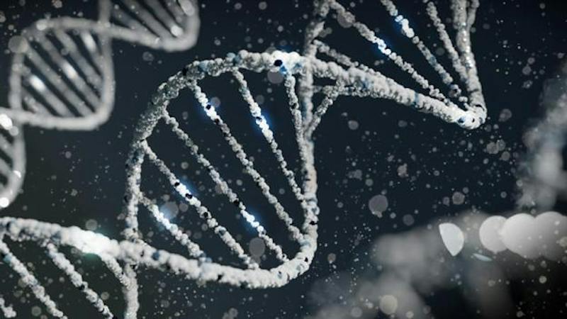 Sermorelin and Ipamorelin: Dual Growth Hormone Secretagogue Peptide Research