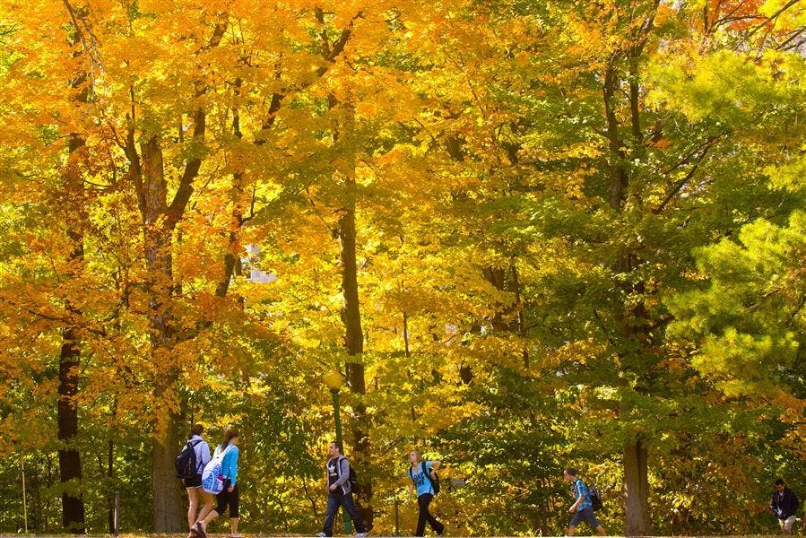 Fall
