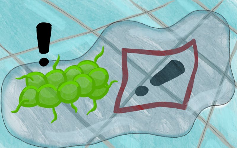 OPINION: Federal cuts to biological research funding threaten national security