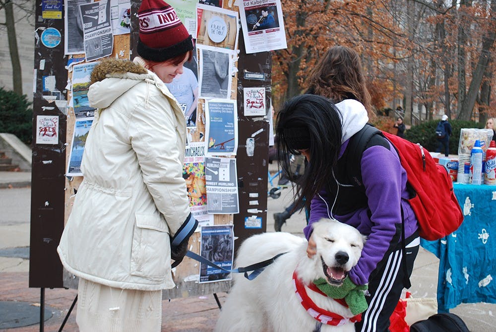 King, a Great Pyrenees, receives attention from students outside of Ballantine Hall on Thursday while raising awareness for People and Animal Learning Services. PALS is a therapeutic horse-riding program in Bloomington that is partnered with Revitalizing Animal Well-being this month to raise awareness.