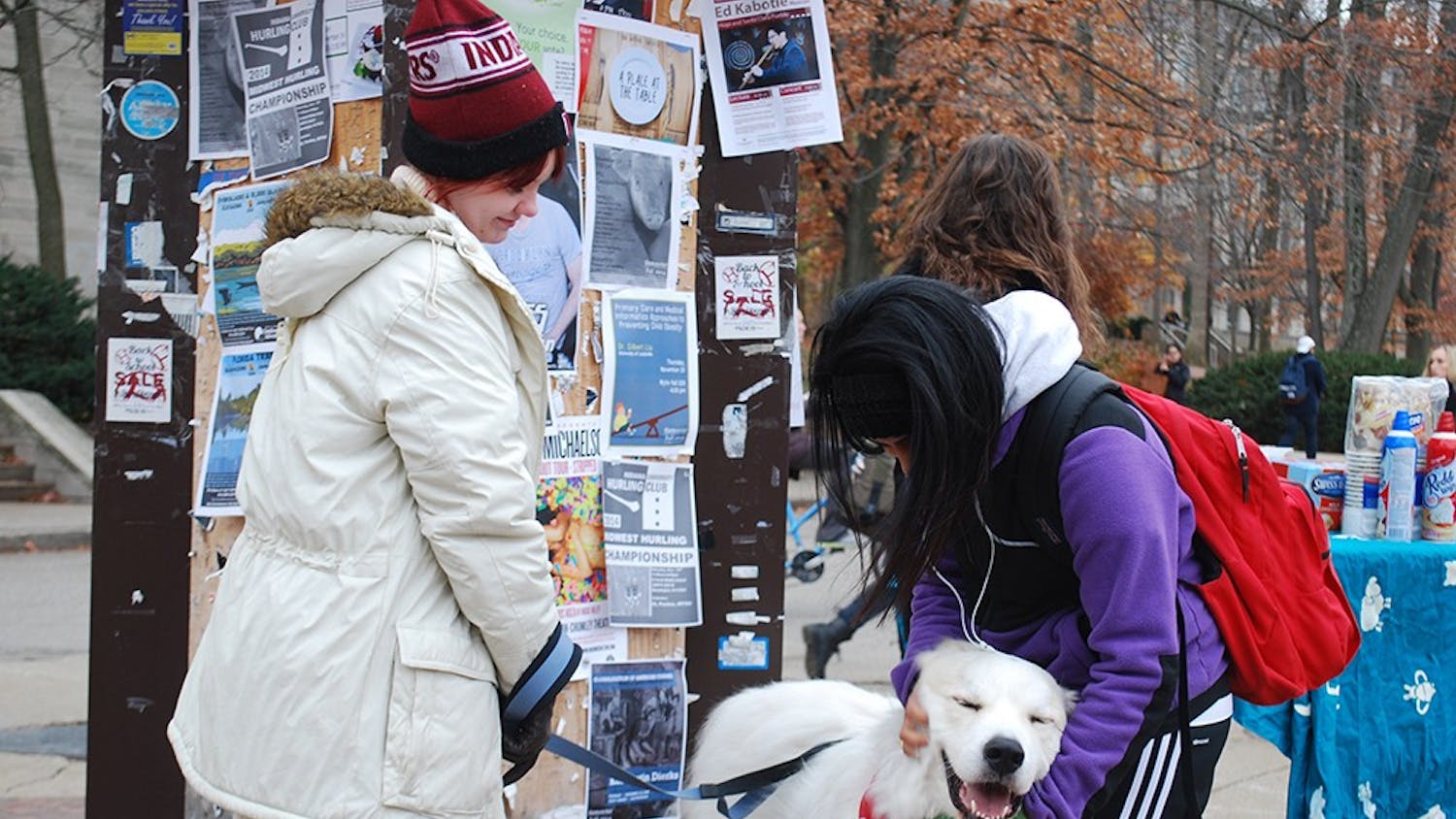 King, a Great Pyrenees, receives attention from students outside of Ballantine Hall on Thursday while raising awareness for People and Animal Learning Services. PALS is a therapeutic horse-riding program in Bloomington that is partnered with Revitalizing Animal Well-being this month to raise awareness.