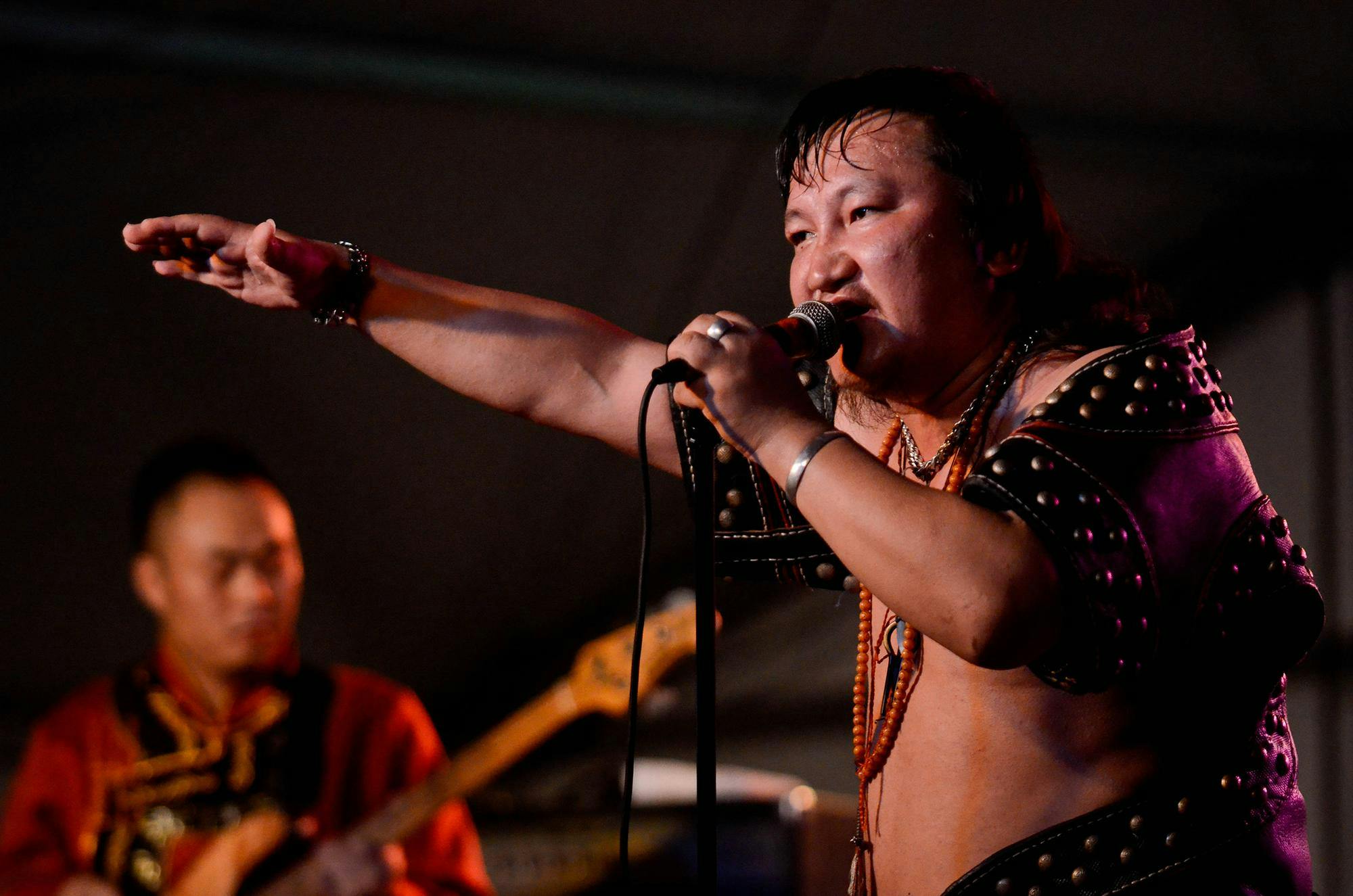 Lotus World Music & Arts Festival 2012