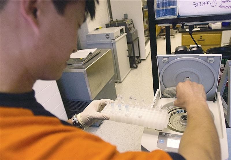 Graduate student Xuesong He places test tubes into a centrifuge in an experiment involving the symbiotic relationship between legume plants and a strain of bacteria.