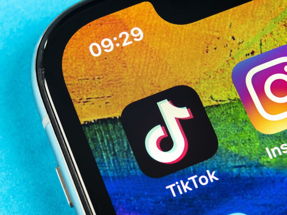 The TikTok app is pictured on the home screen of a phone.