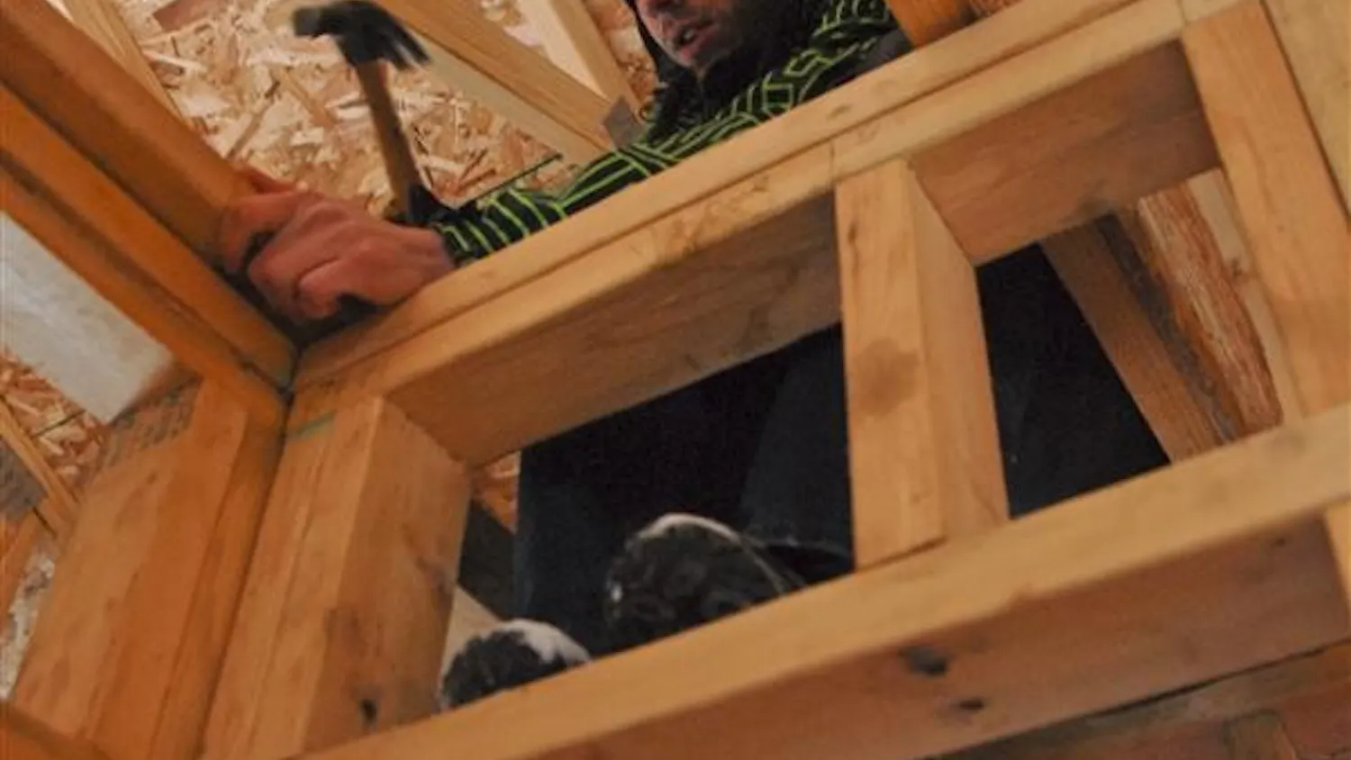 Habitat for Humanity