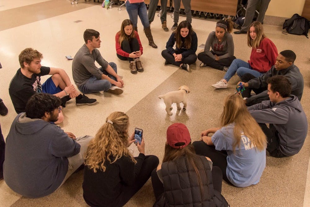 <p>Members of the Indiana Canine Assistant Network participate in their Destress with Dogs event from the fall 2017 semester. The dogs were brought in to help students destress during finals week.</p>