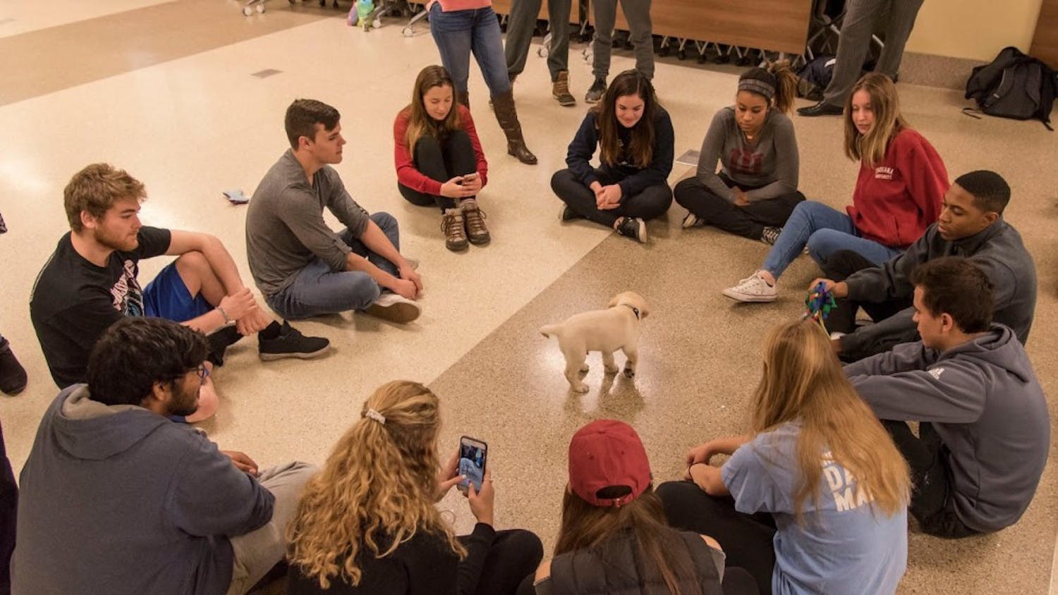 Members of the Indiana Canine Assistant Network participate in their Destress with Dogs event from the fall 2017 semester. The dogs were brought in to help students destress during finals week.