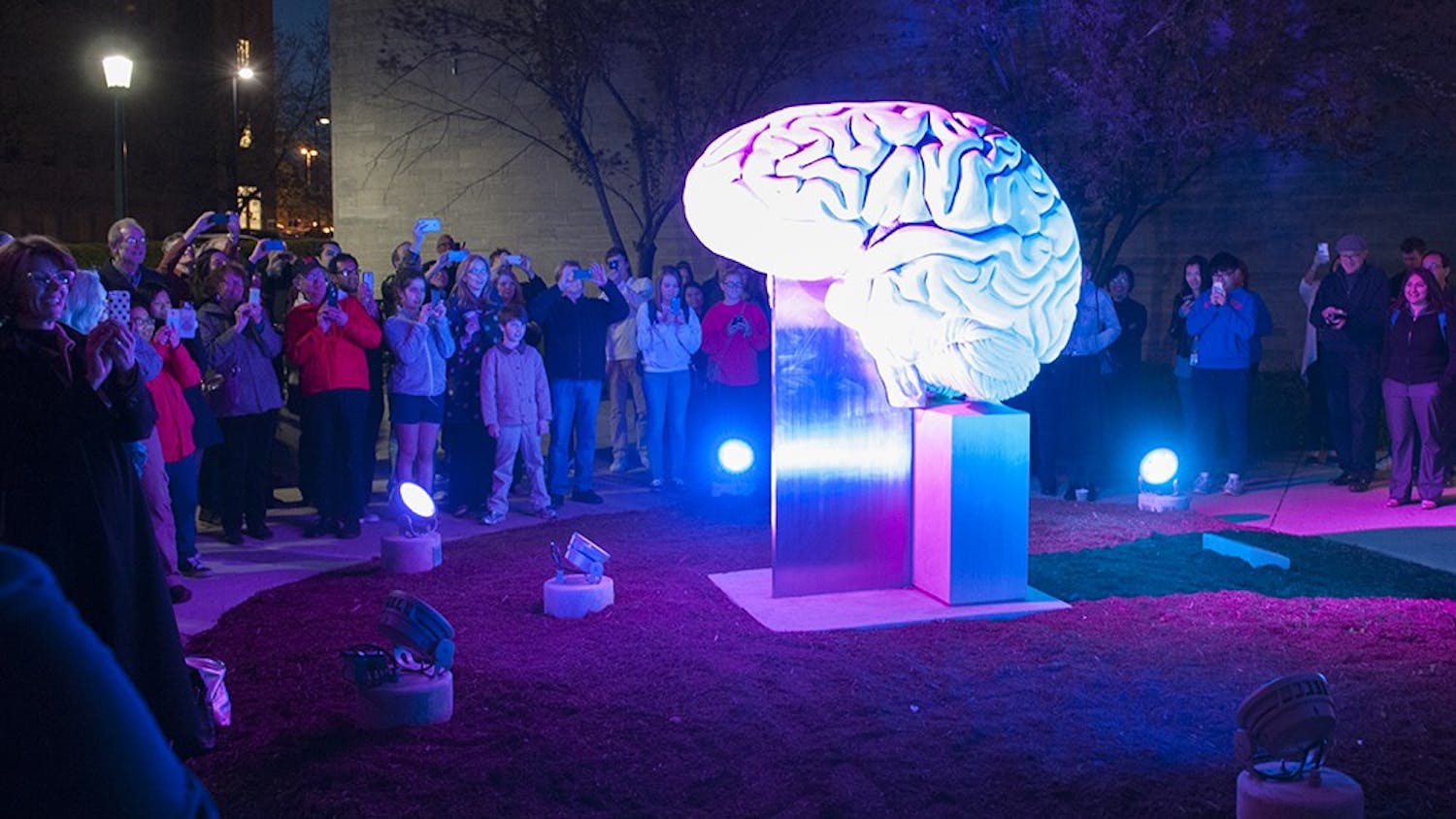 The brain sculpture outside of the Psychology building is illuminated for the first time on Thursday evening. The lights that illuminate the sculpture have a lifespan of 100,000 hours. The funds for the lighting design were donated by IU graduates David and Suzanne Pfenninger. 