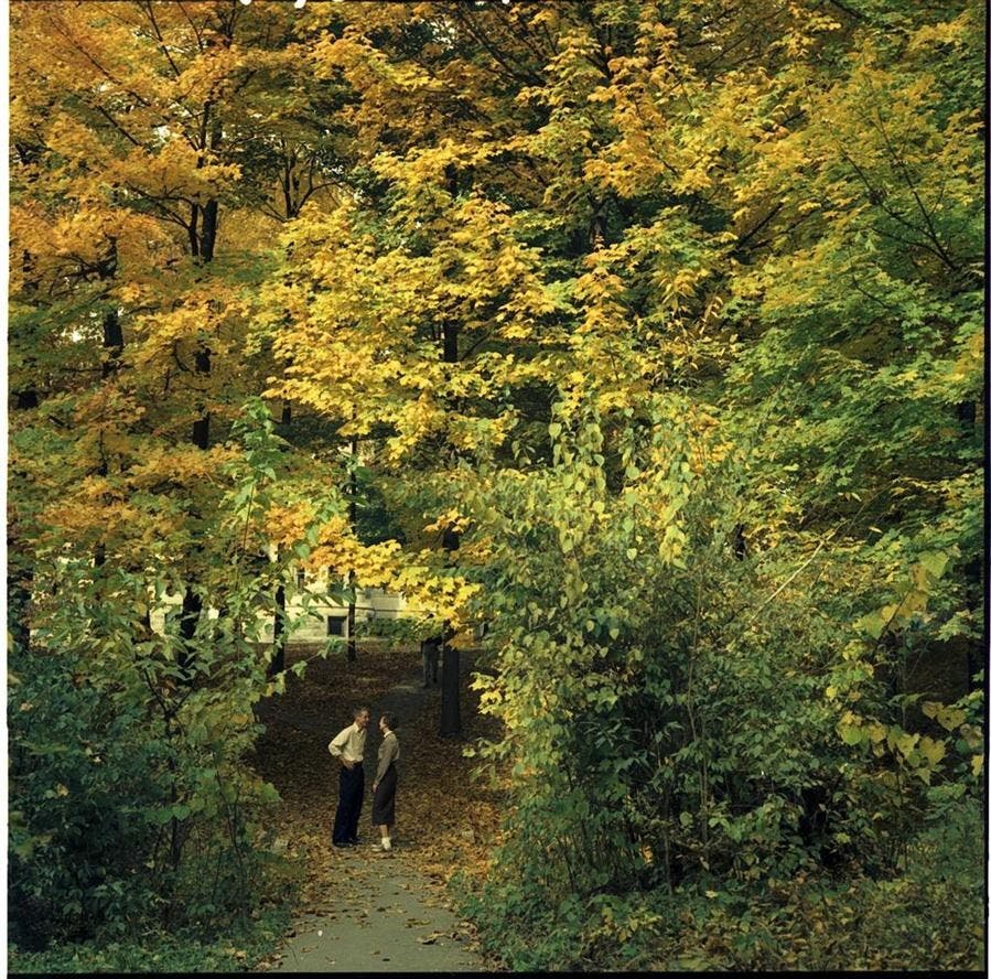IU in fall